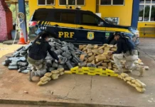 PRF encontra mais de uma tonelada de drogas escondida em caminhão na BR-364